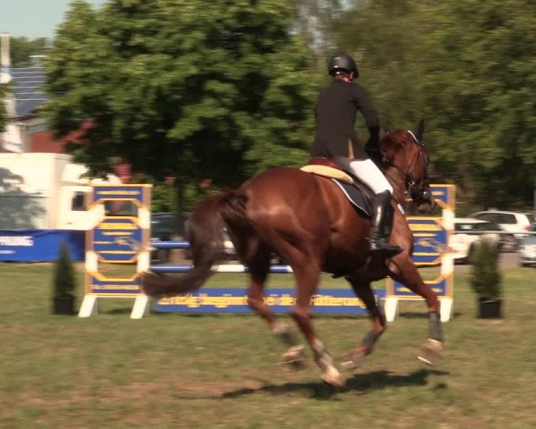 Reitturnier Kreuzkrug 2018