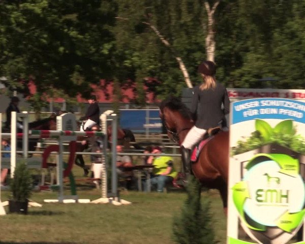 Reitturnier Kreuzkrug 2018