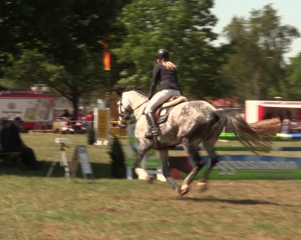 Reitturnier Kreuzkrug 2018