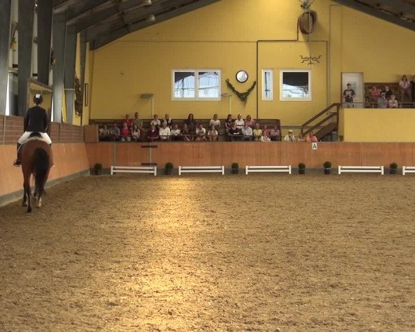 Reitturnier Frechen-Grefrath - Sonnenhof 2018
