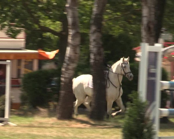 Reitturnier Kreuzkrug 2018