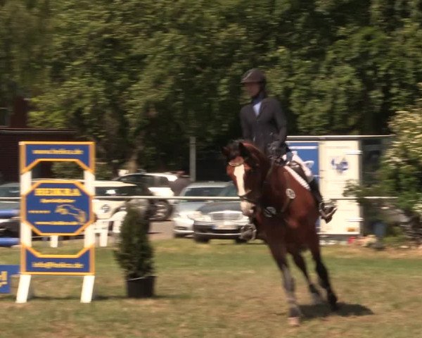 Reitturnier Kreuzkrug 2018