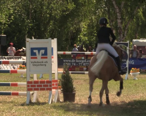 Reitturnier Kreuzkrug 2018