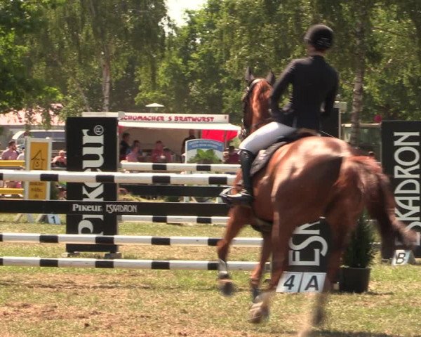 Reitturnier Kreuzkrug 2018