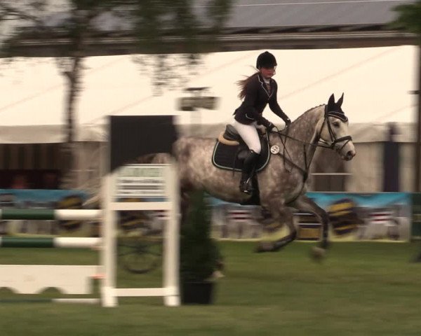 Reitturnier Kreuzkrug 2018