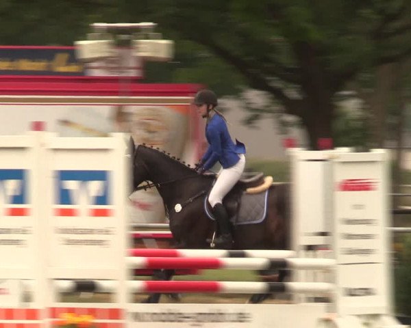Reitturnier Kreuzkrug 2018