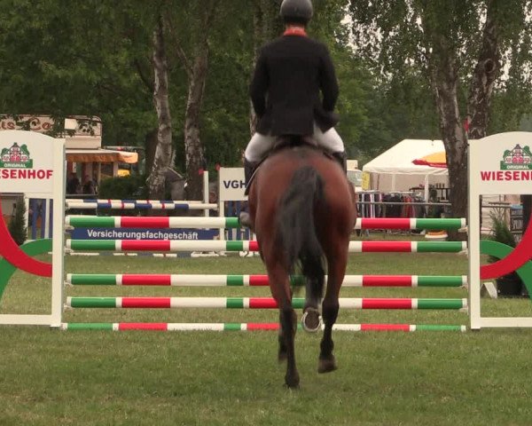 Reitturnier Kreuzkrug 2018