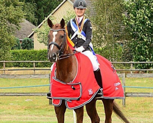 dressage horse Waroona (Hanoverian, 2006, from Worldly I)