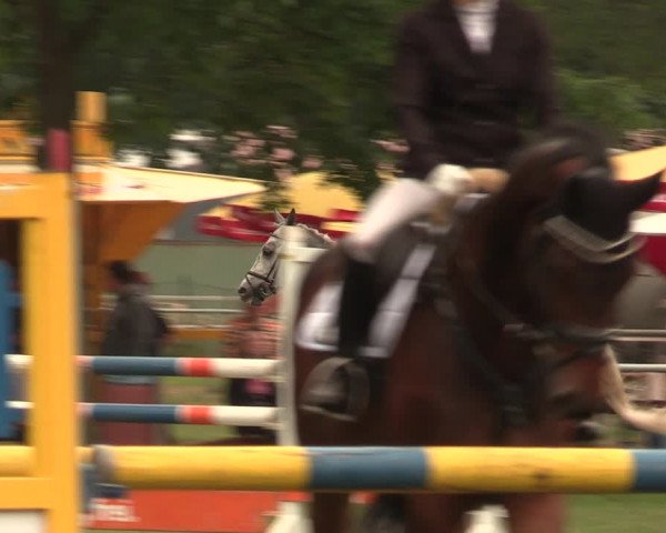 Reitturnier Kreuzkrug 2018