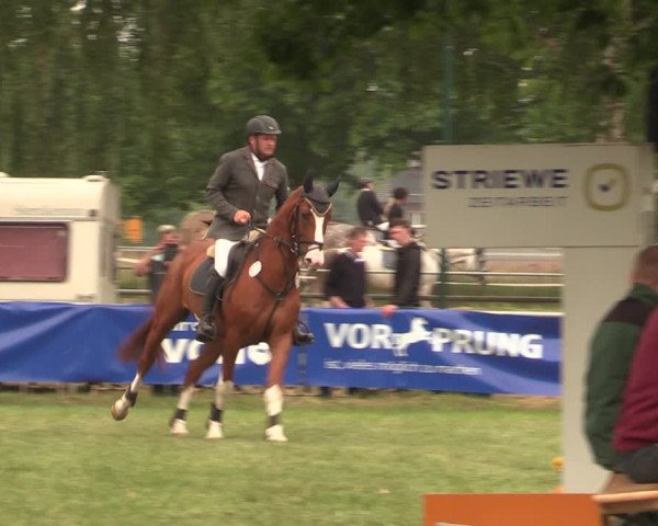 Reitturnier Kreuzkrug 2018