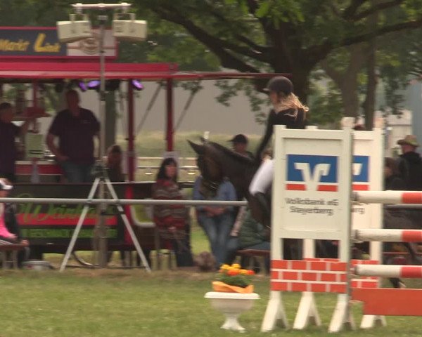 Reitturnier Kreuzkrug 2018
