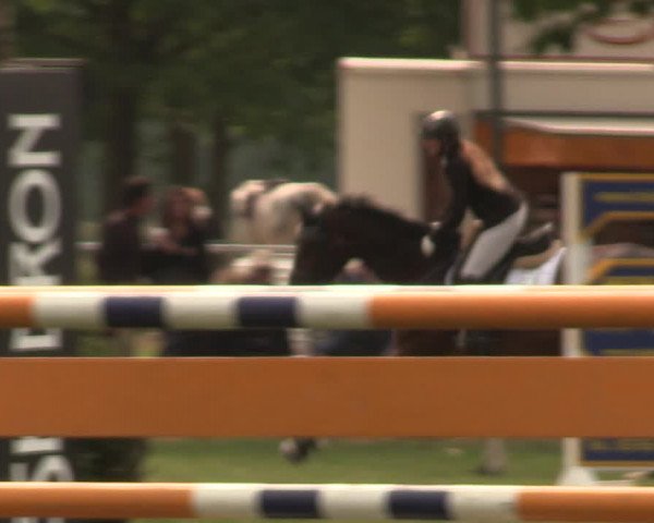 Reitturnier Kreuzkrug 2018