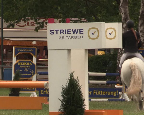 Reitturnier Kreuzkrug 2018