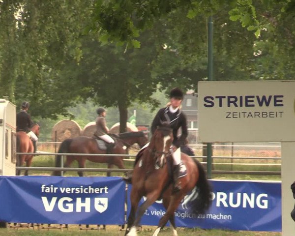 Reitturnier Kreuzkrug 2018