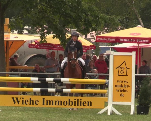 Reitturnier Kreuzkrug 2018