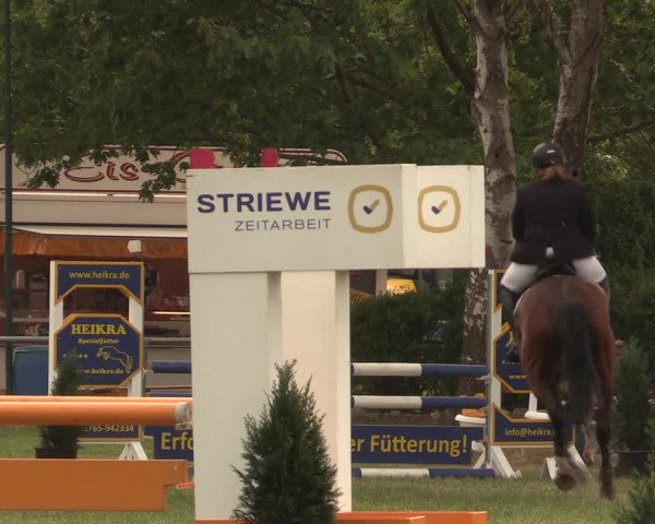 Reitturnier Kreuzkrug 2018