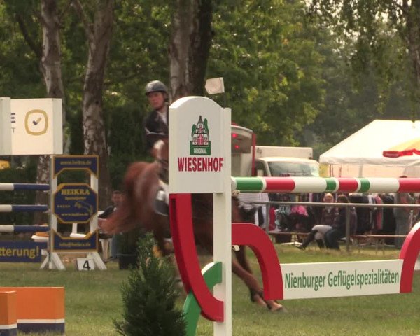 Reitturnier Kreuzkrug 2018