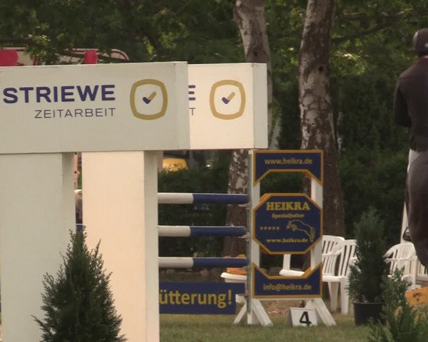 Reitturnier Kreuzkrug 2018
