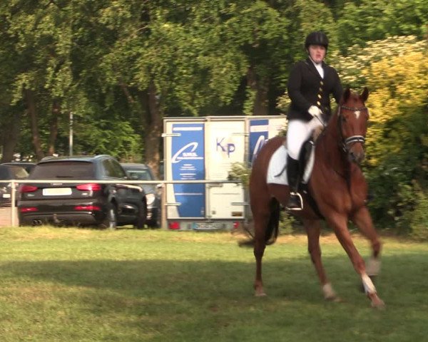 Reitturnier Kreuzkrug 2018