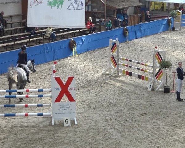 Reitturnier Sögel 2021