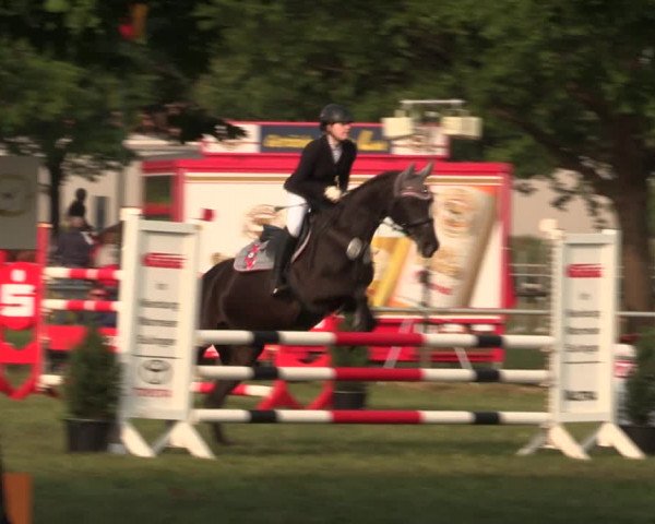 Reitturnier Kreuzkrug 2018