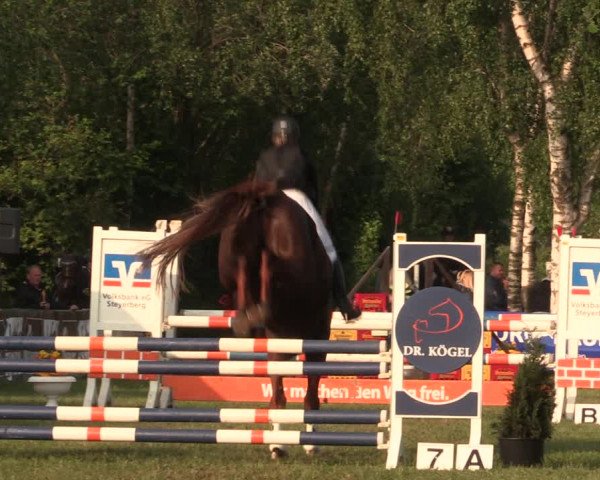 Reitturnier Kreuzkrug 2018