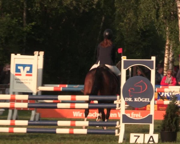 Reitturnier Kreuzkrug 2018