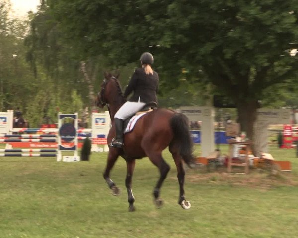 Reitturnier Kreuzkrug 2018