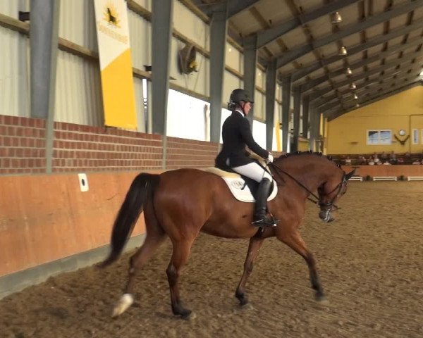 Reitturnier Frechen-Grefrath - Sonnenhof 2018