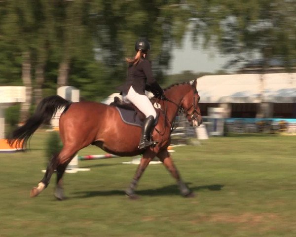 Reitturnier Kreuzkrug 2018