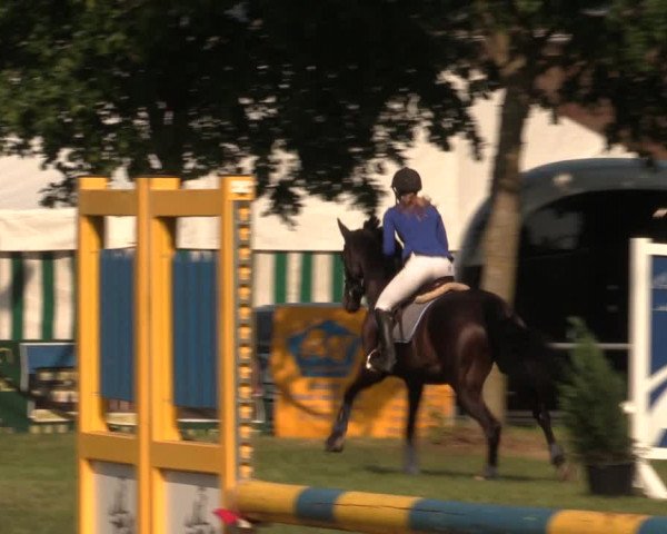 Reitturnier Kreuzkrug 2018