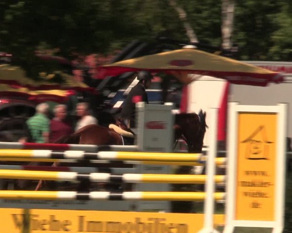 Reitturnier Kreuzkrug 2018