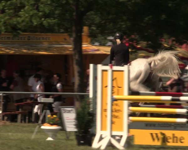 Reitturnier Kreuzkrug 2018