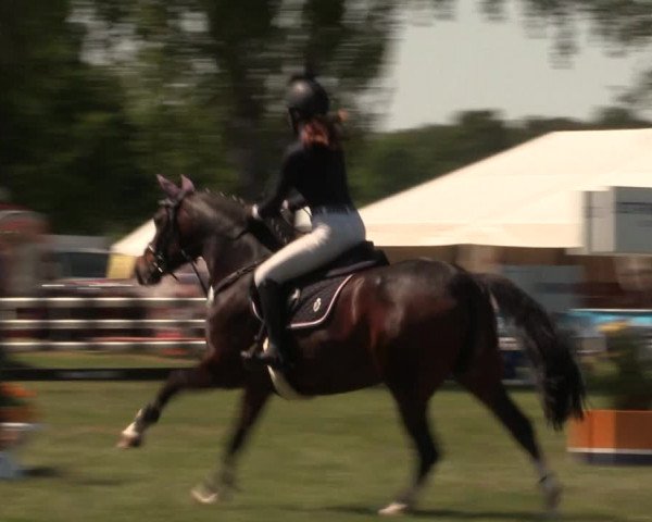 Reitturnier Kreuzkrug 2018