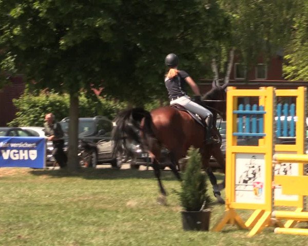 Reitturnier Kreuzkrug 2018
