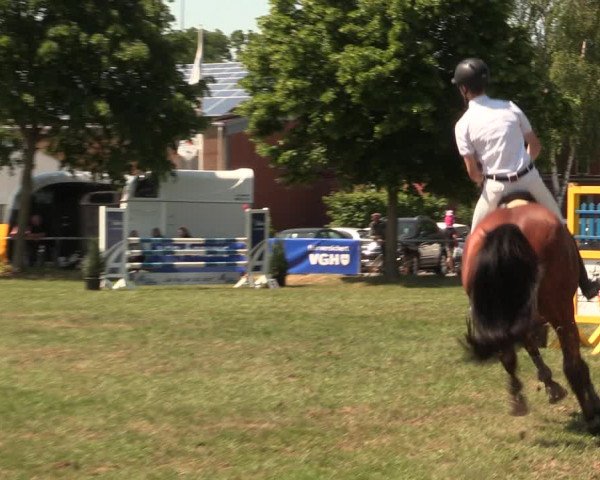 Reitturnier Kreuzkrug 2018