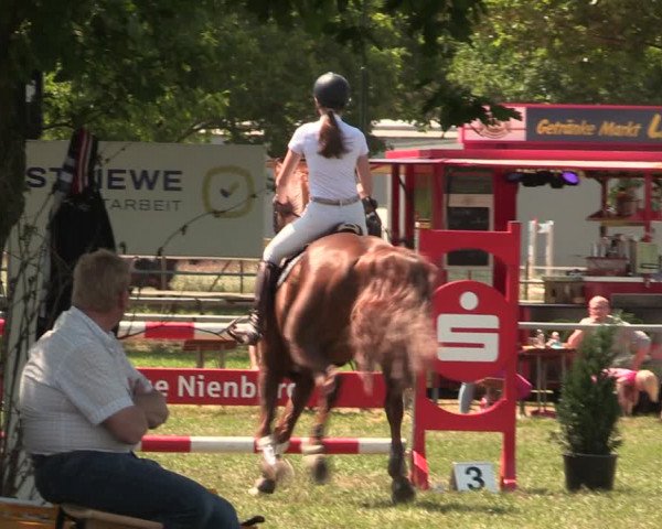 Reitturnier Kreuzkrug 2018