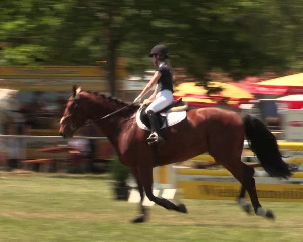 Reitturnier Kreuzkrug 2018