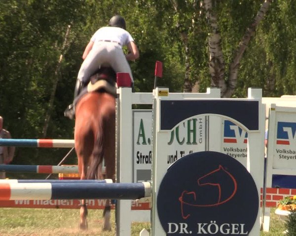 Reitturnier Kreuzkrug 2018