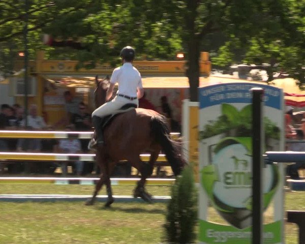Reitturnier Kreuzkrug 2018
