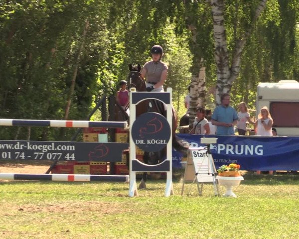 Reitturnier Kreuzkrug 2018