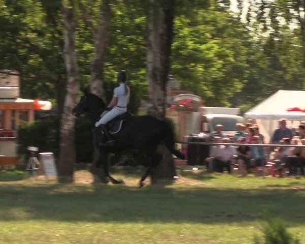 Reitturnier Kreuzkrug 2018