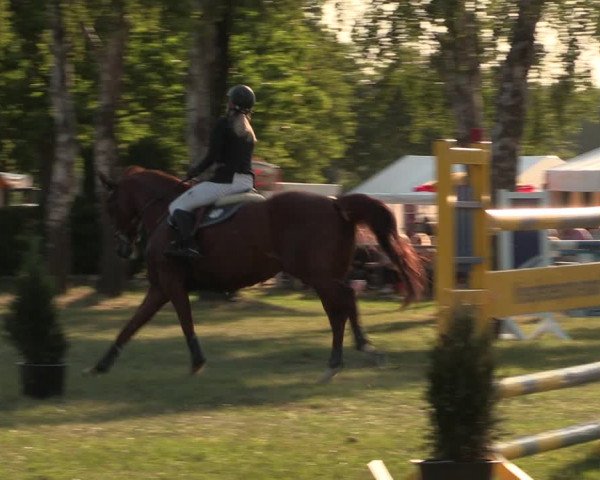 Reitturnier Kreuzkrug 2018