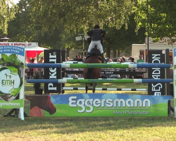 Reitturnier Kreuzkrug 2018