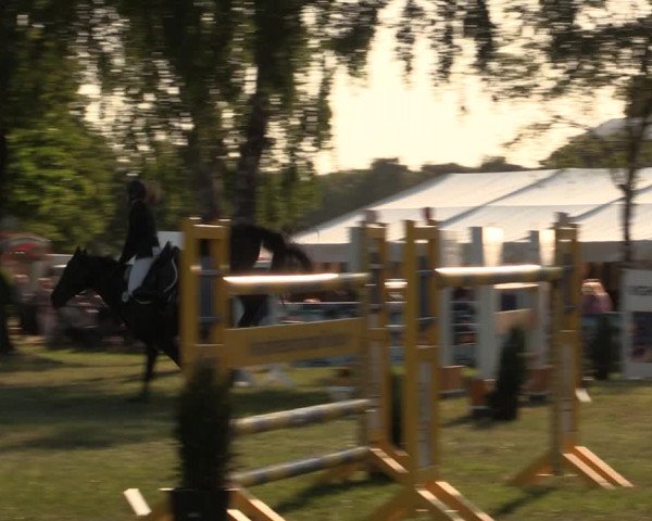 Reitturnier Kreuzkrug 2018