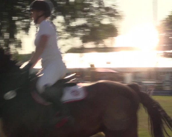 Reitturnier Kreuzkrug 2018