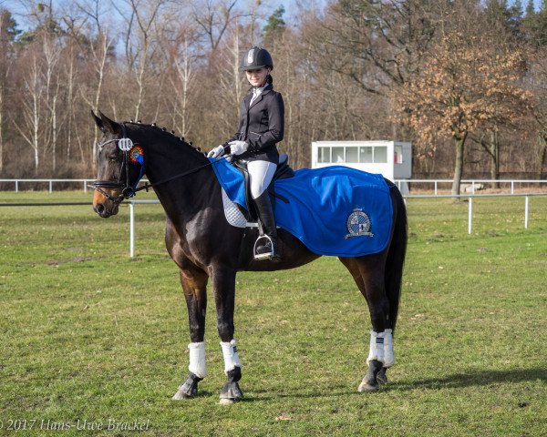 dressage horse Für Mich (Hanoverian, 2008, from Fidertanz)