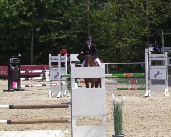 Pfingssturnier Bochum-Nord 2018