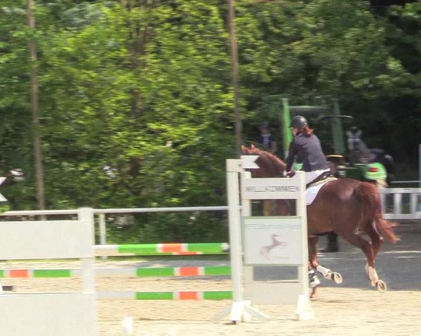 Pfingssturnier Bochum-Nord 2018