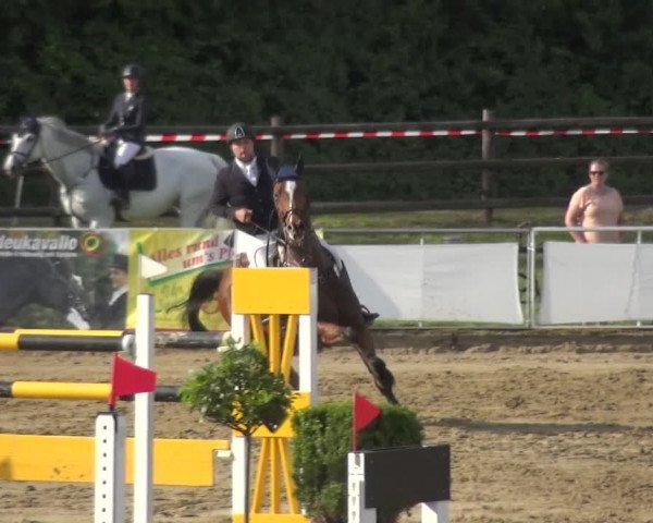 Reitturnier Frechen-Grefrath - Sonnenhof 2018